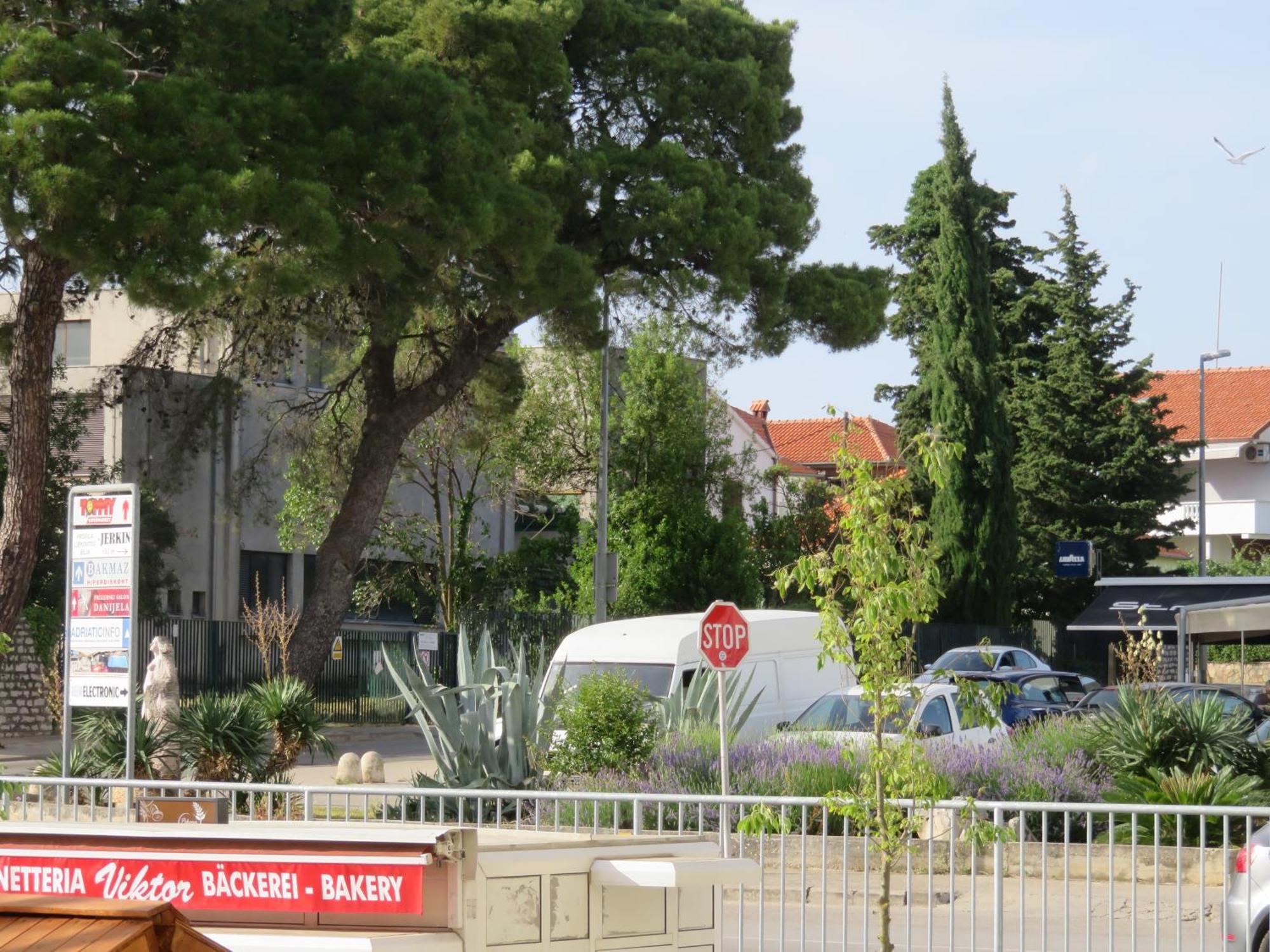 Apartment Angelina Free Public Parking Zadar Eksteriør billede